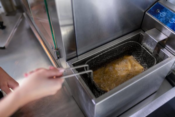 Electric Fryer: Solusi Praktis untuk Menggoreng dengan Cepat electric fryer