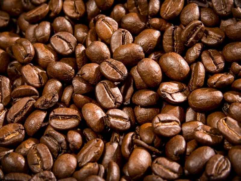 coffee bean grinder