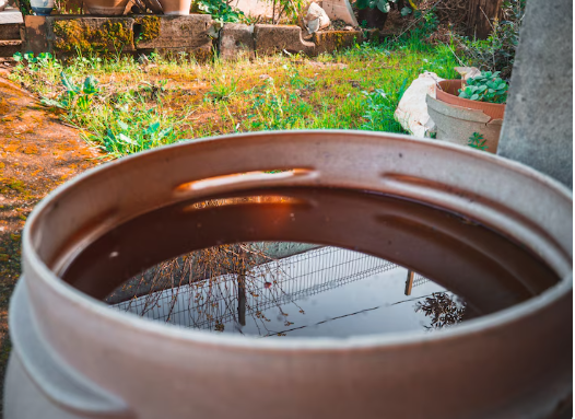 septic tank bio