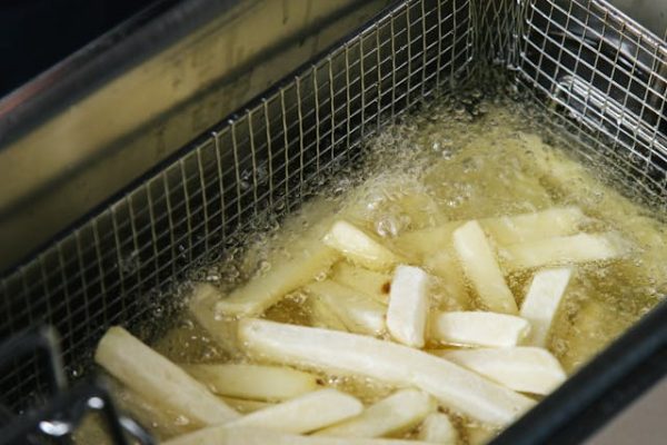 mesin deep fryer